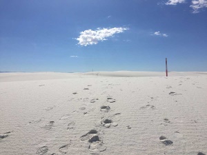 helder uitzicht over het bijzondere gebied | White Sands